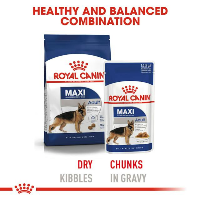 Royal Canin Maxi Adult Wet Dog Food dry and wet combination