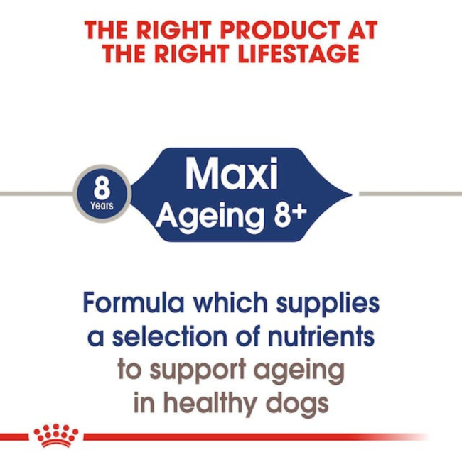 Royal Canin Maxi Ageing Wet Dog Food correct life stage