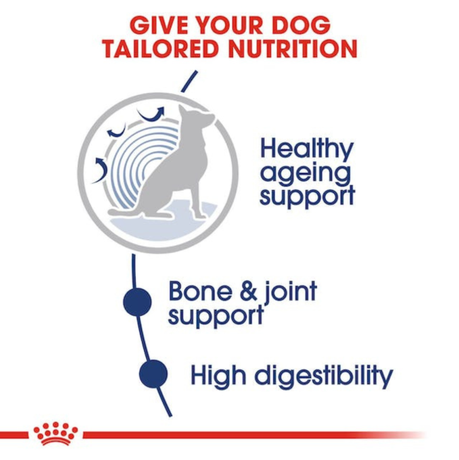 Royal Canin Maxi Ageing Wet Dog Food tailored nutrition