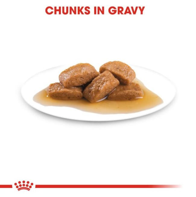 Royal Canin Maxi Ageing Wet Dog Food chunks in gravy