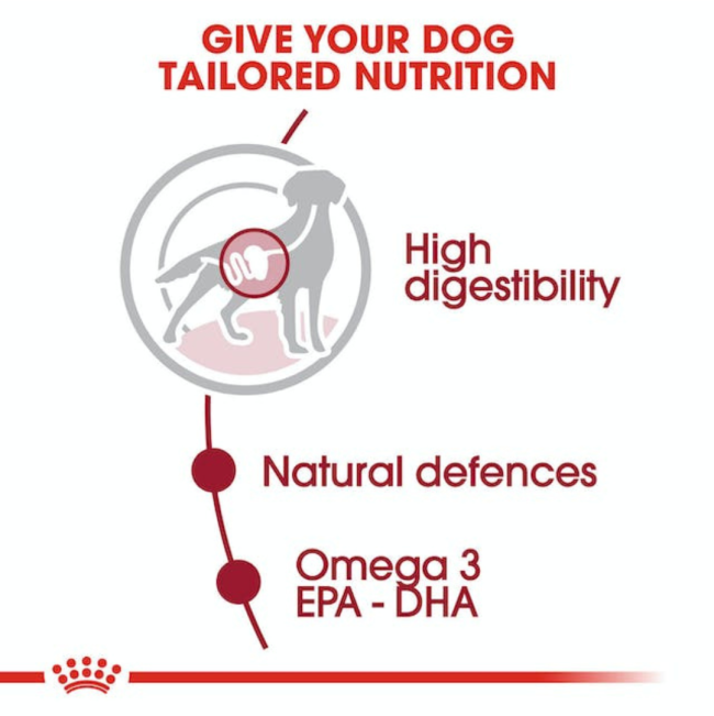 Royal Canin Medium Adult Wet Dog Food tailored nutrition