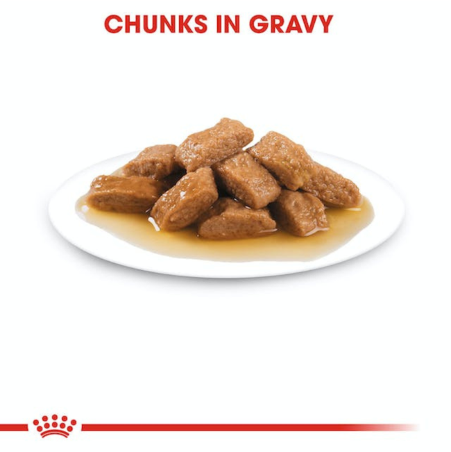 Royal Canin Medium Adult Wet Dog Food chunks in gravy