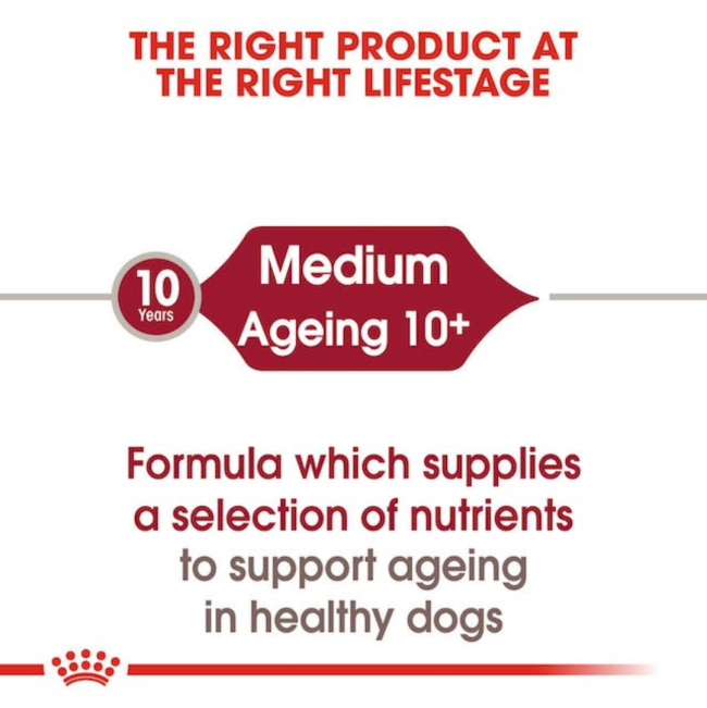 Royal Canin Medium Ageing Wet Dog Food correct life stage