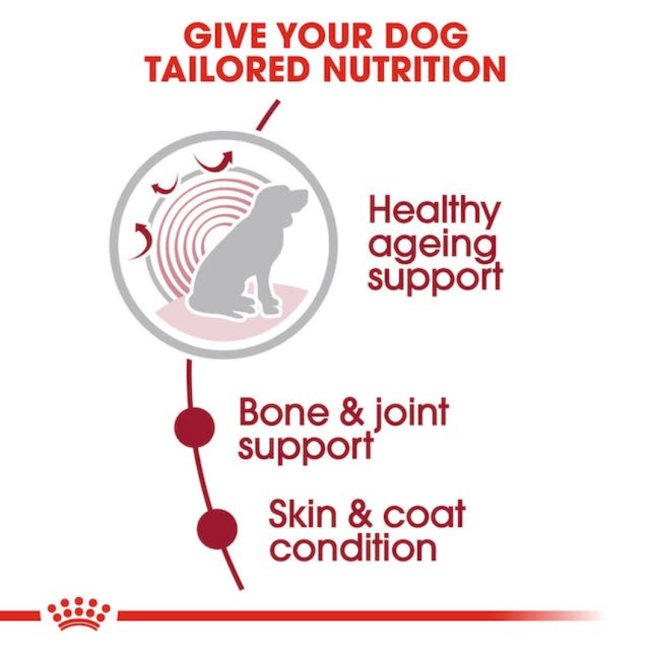 Royal Canin Medium Ageing Wet Dog Food tailored nutrition