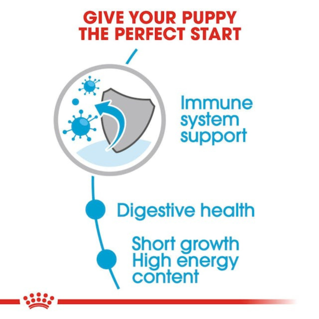 Royal Canin Medium Puppy Wet Food for the perfect start