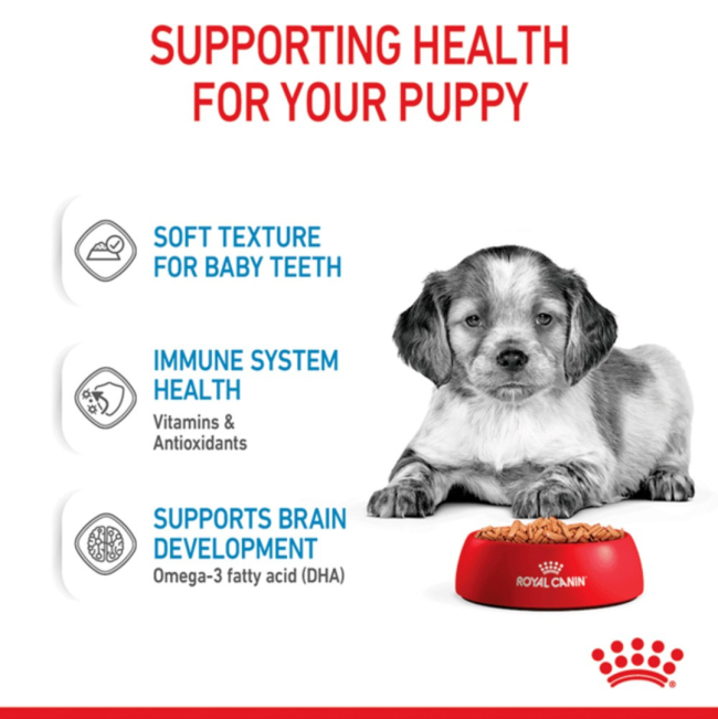 Royal Canin Medium Puppy Wet Food healthy support