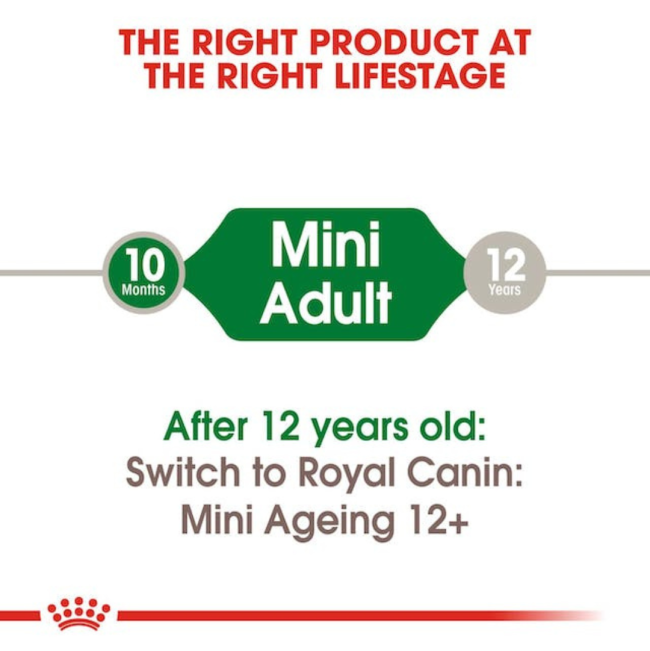 Royal Canin Mini Adult Wet Dog Food correct life stage