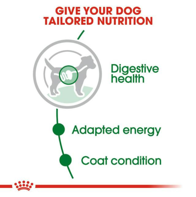 Royal Canin Mini Adult Wet Dog Food tailored nutrition