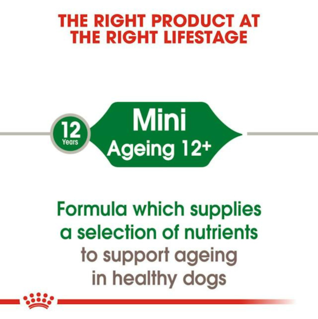 Royal Canin Mini Ageing Wet Dog Food correct life stage