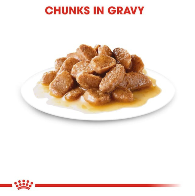 Royal Canin Mini Ageing Wet Dog Food chunks in gravy