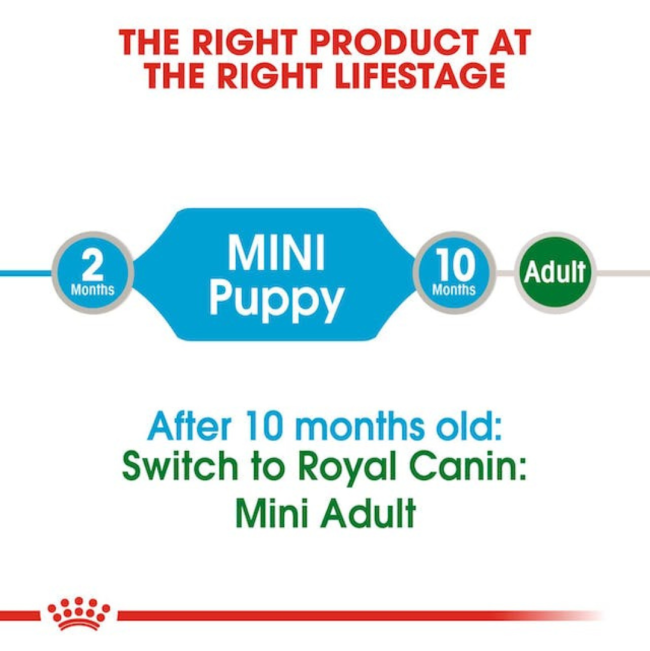 Royal Canin Mini Puppy Wet Food correct life stage