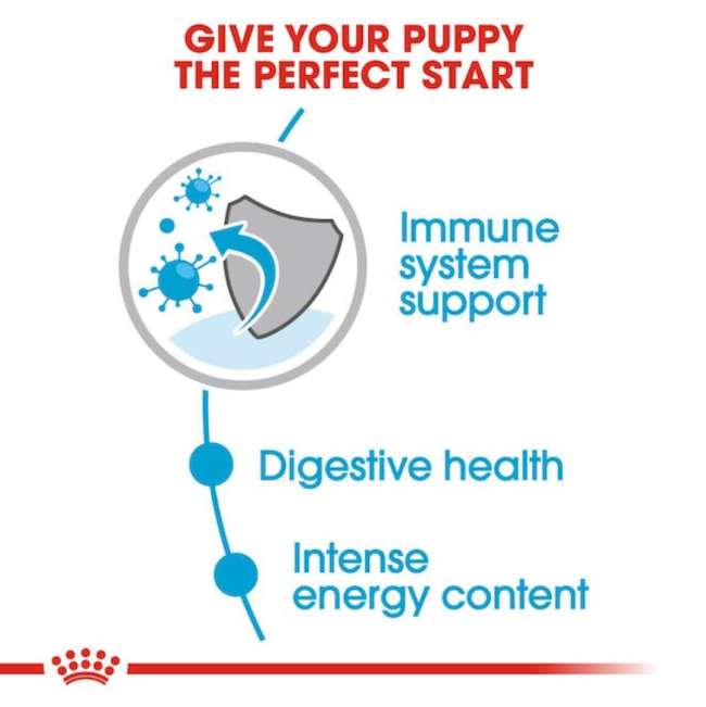 Royal Canin Mini Puppy Wet Food perfect start