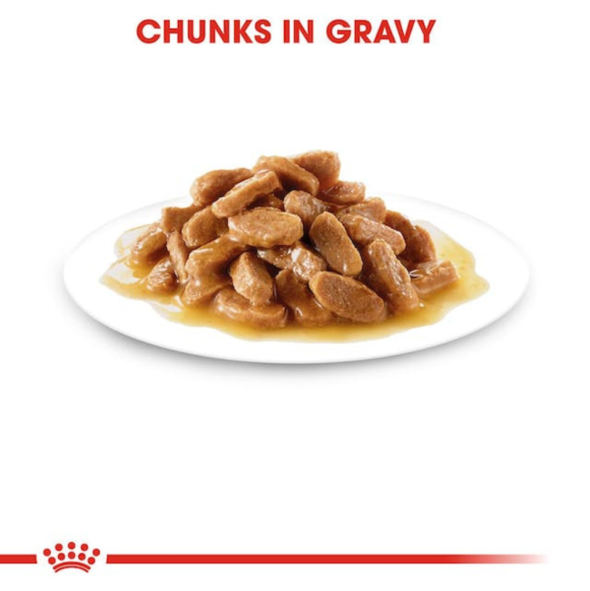 Royal Canin Mini Puppy Wet Food chunks in gravy