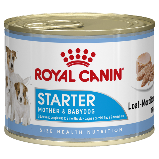 Royal Canin Mother & Babydog Starter Mousse Wet Dog Food