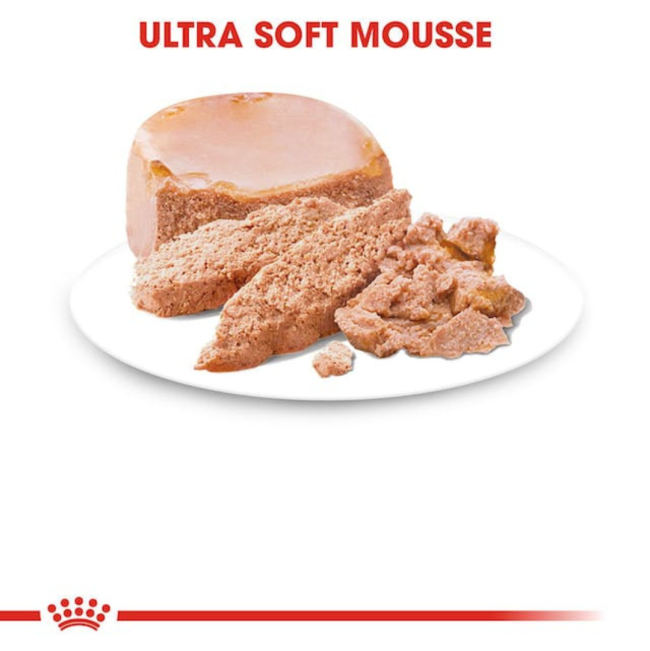 Royal Canin Mother & Babydog Starter Mousse Wet Dog Food soft mousse