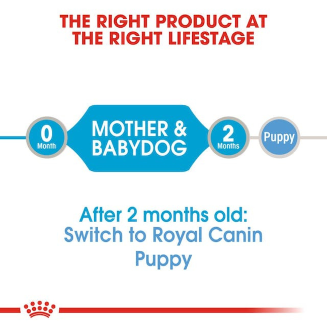 Royal Canin Mother & Babydog Starter Mousse Wet Dog Food correct life stage