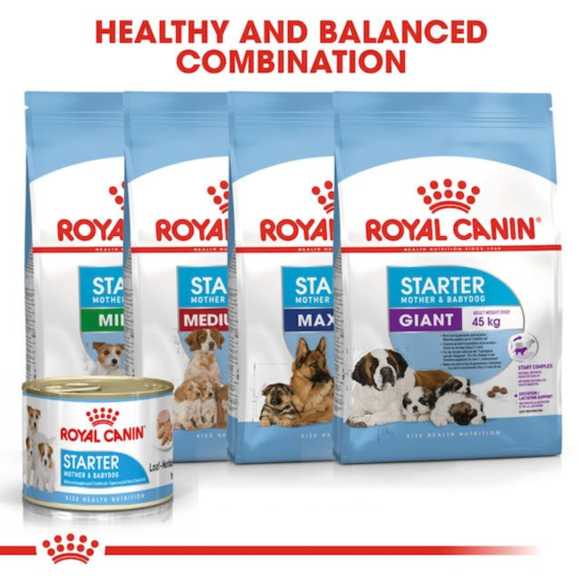 Royal Canin Mother & Babydog Starter Mousse Wet Dog Food combination