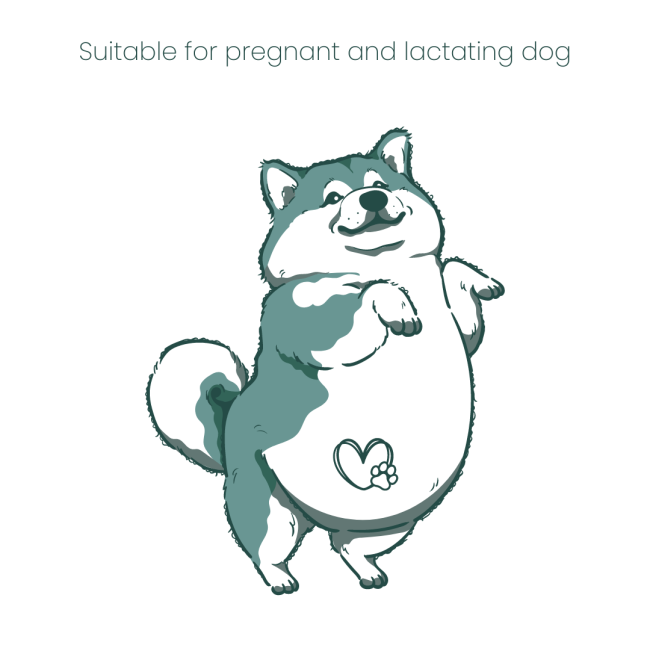 Purina Pro Plan Performance Dog Food for pregnant and lactating dogs