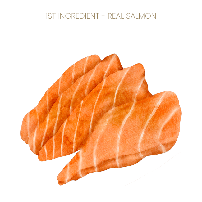 Purina Pro Plan Adult Cat Food Salmon flavor