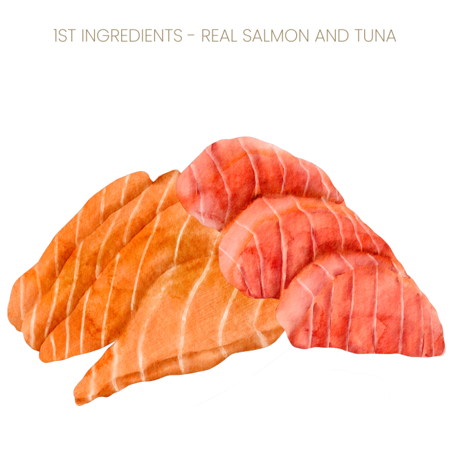 Purina Pro Plan Adult 7+ Cat Food Salmon & Tuna flavor