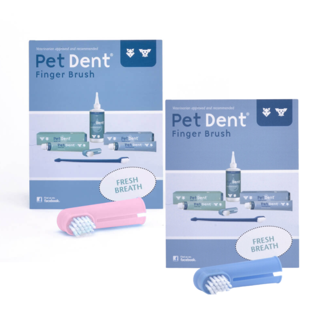 Blue finger brush single pack for dogs and cats to freshen breath