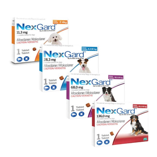 Nexgard single tablets available for toy, small, medium and large breed dogs