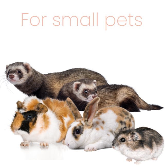 Simple Solution Cage & Hutch Freshener for use on mall pet cages