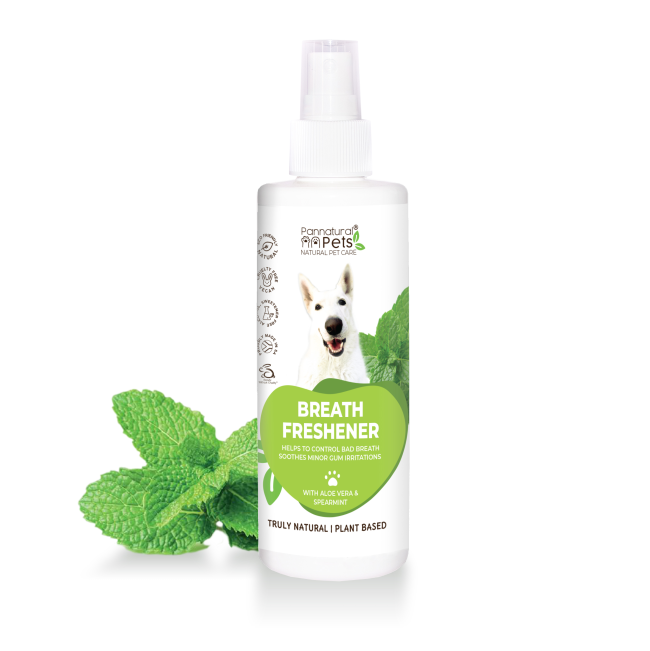 Pannatural Cool Breath - Breath Freshener with mint