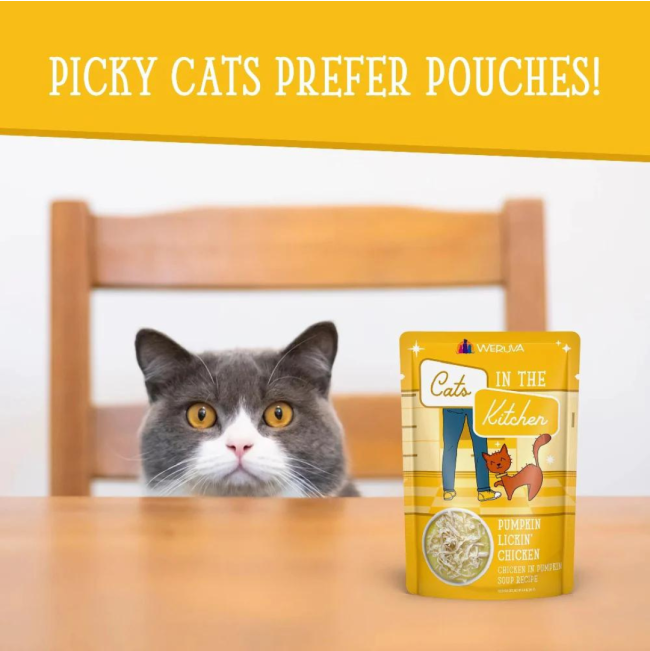 Weruva Pumpkin Lickin' Chicken Soup for Cats prefer pouches