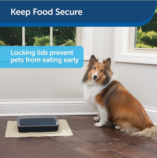 Digital 2 Meal Pet Feeder Keep food Safe