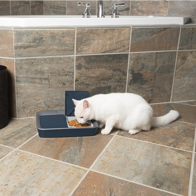 Digital 2 Meal Pet Feeder lifestyle with white cat