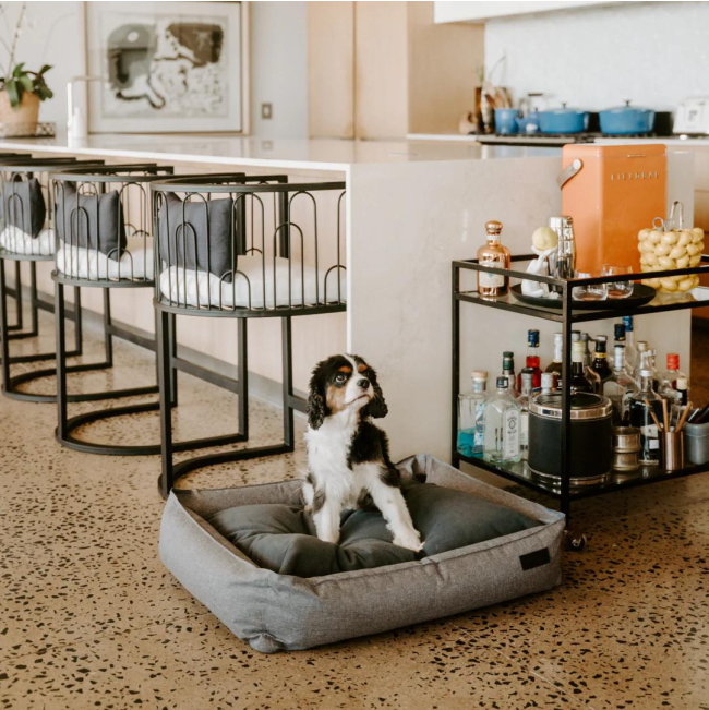 Huntlea Dog Urban Bolster Bed lifestyle with small dog sitting on bed