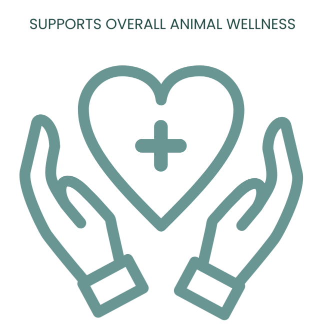 ResiFlex Tablets for Dogs supports overall health