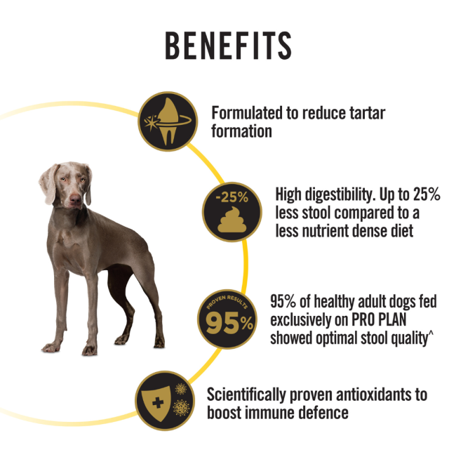 Purina Pro Plan Bright Mind Dry 7+ Dog Food Nutritional benefits