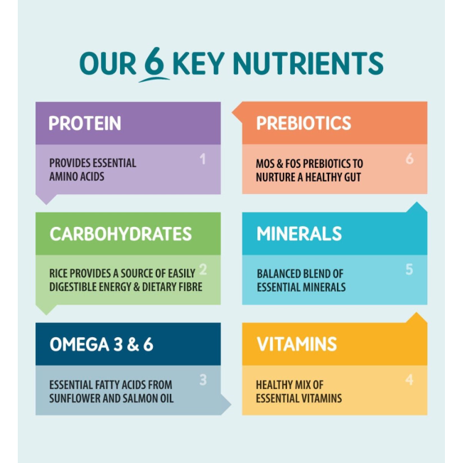 Colourful table showing Naturo's 6 Key nutrients