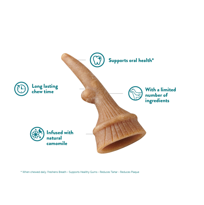 Antler Outline and nutriotional benefits