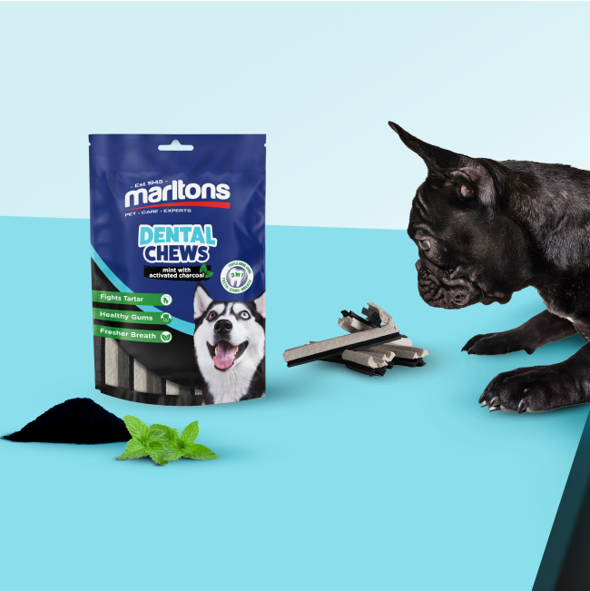 dental chews with mint leaf and charcoal powder with small breed dog