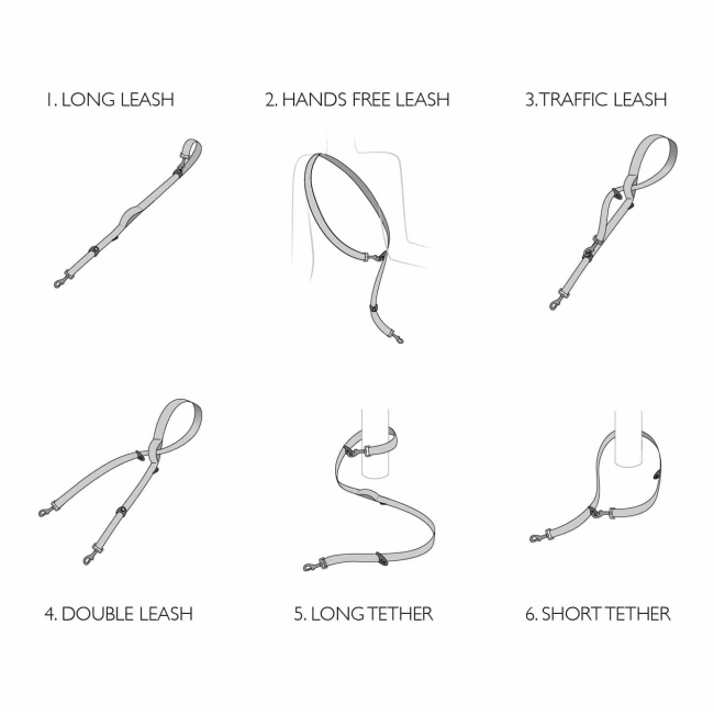 Diagrams of various functions of the dog lead