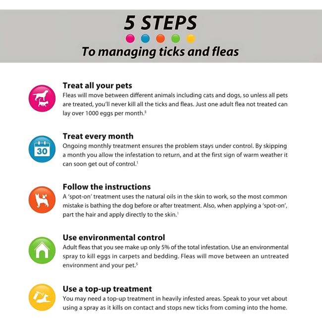 5 steps in managing ticks & fleas