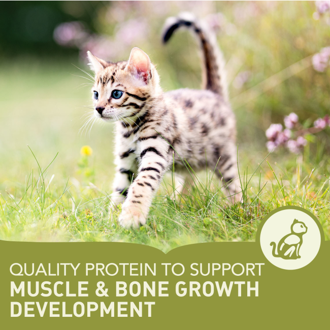 Acana Cat First Feast Kitten Recipe Helps Support