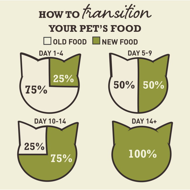 transitioning guide on switching to acana food