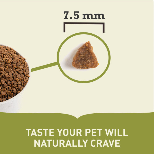 bowl of kibble and single kibble indicating size