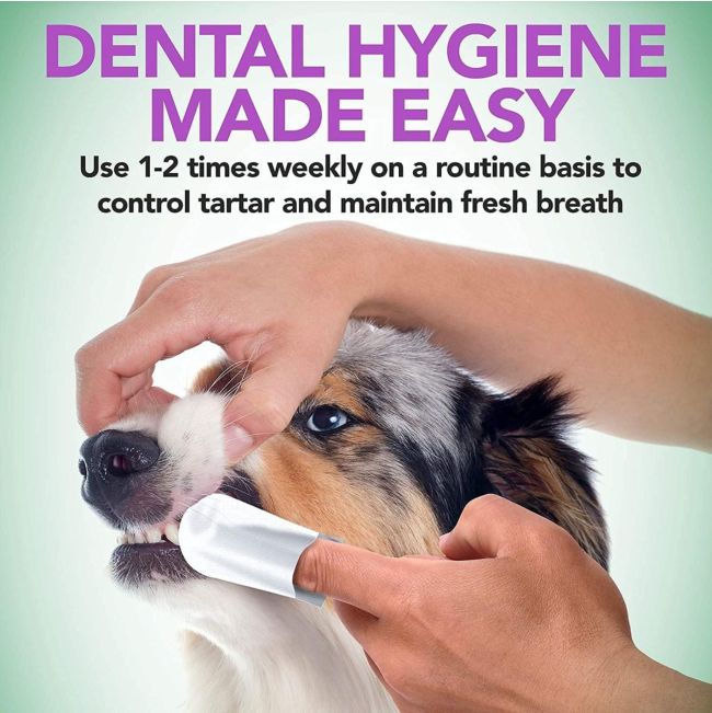 Dog being wiped with vet's best dental wipes