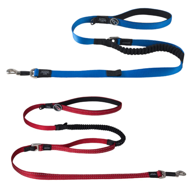 Red webbing control dog lead with shock absorbing bungee
