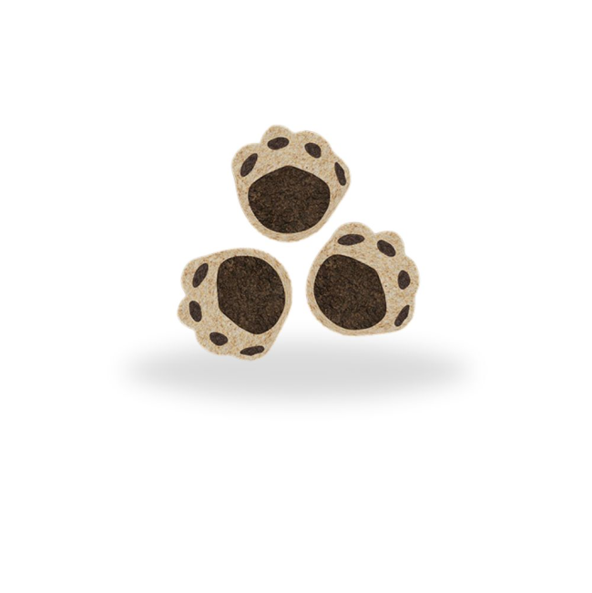 treat shaped like a dog paw