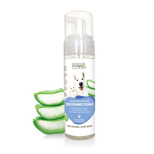 bottle with aloe vera next to it