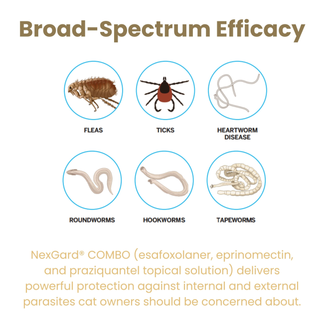 Infographic of parasites treated with Nexgard Combo for cats