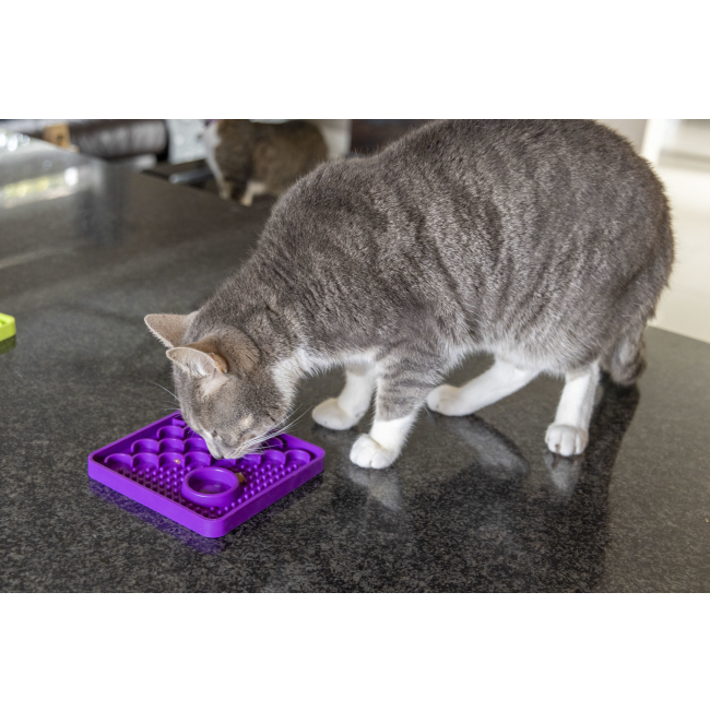 cat using lickimat catster