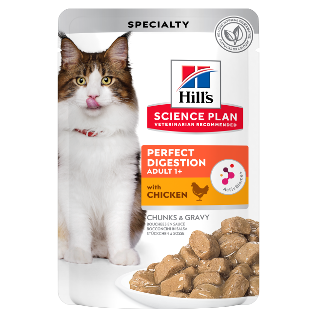 single wet food pouch