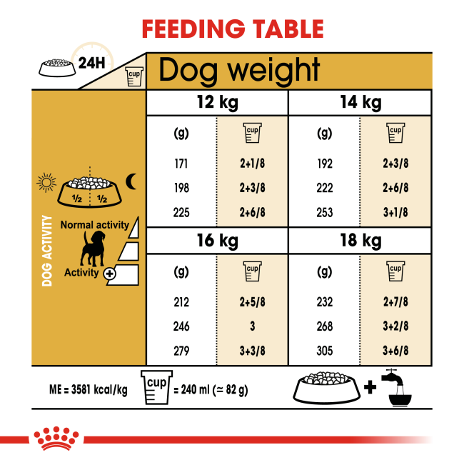 feeding guide